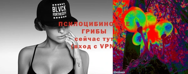 марки lsd Гусиноозёрск