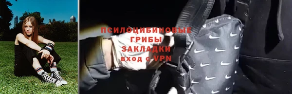 гидропоника Гусь-Хрустальный