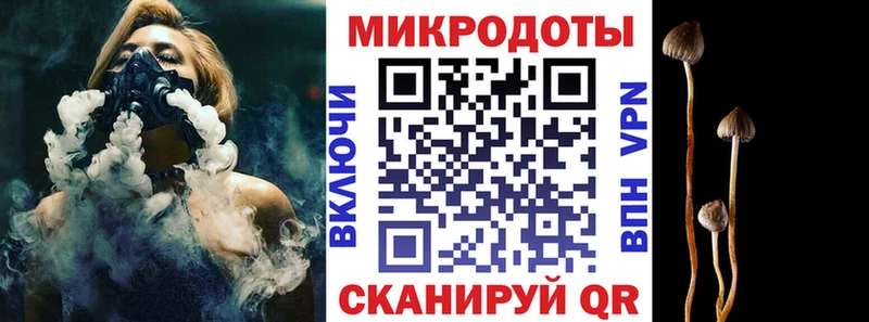 MEGA ссылки  наркошоп  Дзержинск  Псилоцибиновые грибы Magic Shrooms 